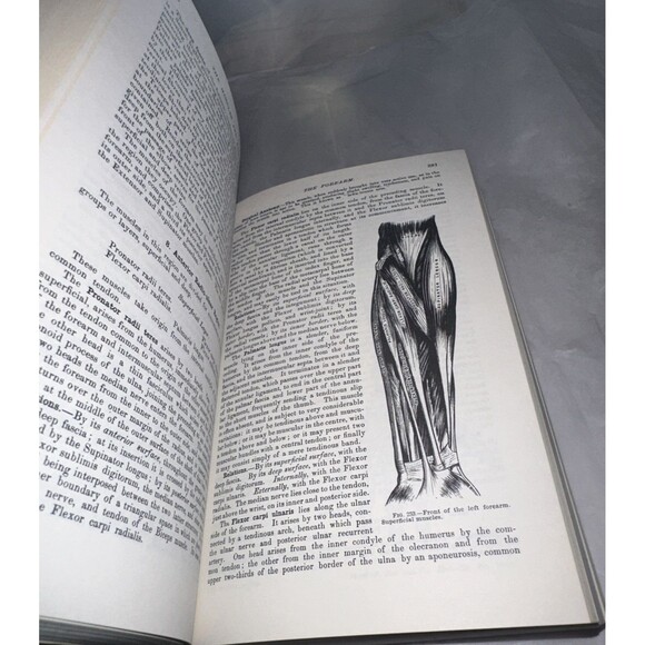 Gray's Anatomy The ILLUSTRATED Running Press Edition Of The American Classic '74 - Picture 4 of 7